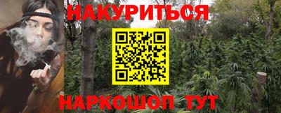 прущие грибы Кулебаки