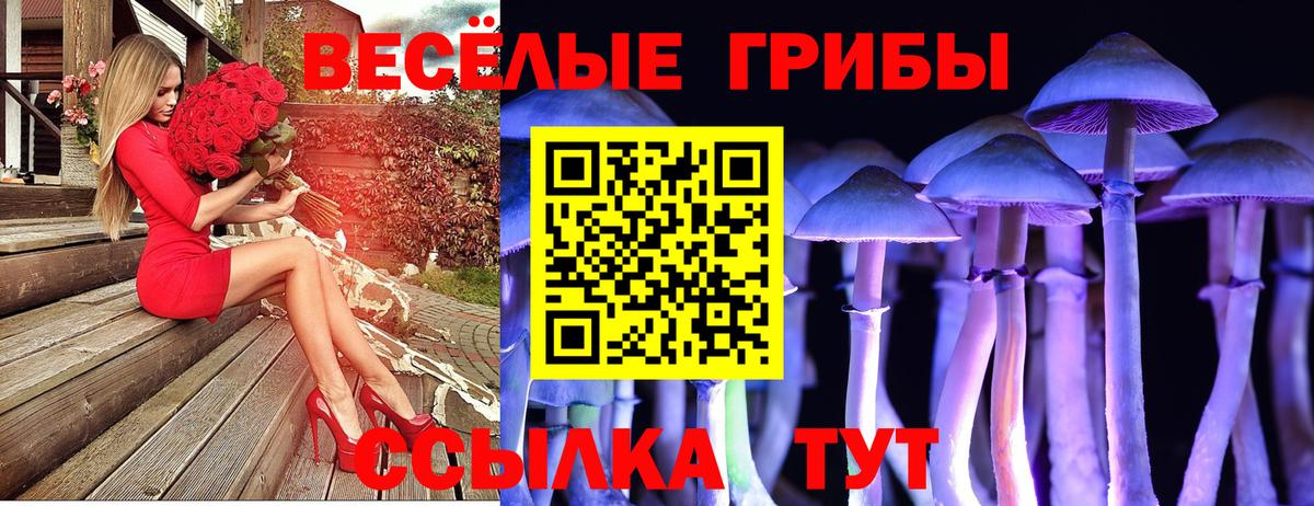 Псилоцибиновые грибы MAGIC MUSHROOMS  Галлюциногенные грибы Cubensis  Вход с VPN  даркнет сайт  Кольчугино 
