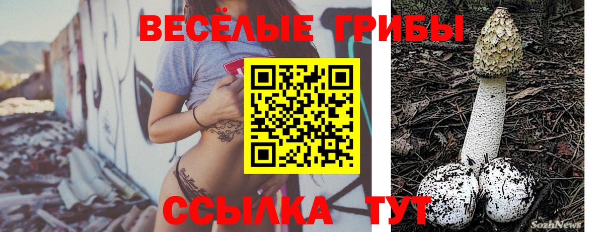 Псилоцибиновые грибы Magic Shrooms Кольчугино